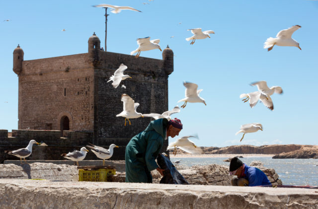 Essaouira morocco's hip side